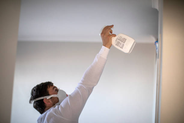 Crawl Space Mold Removal in Trenton, NJ
