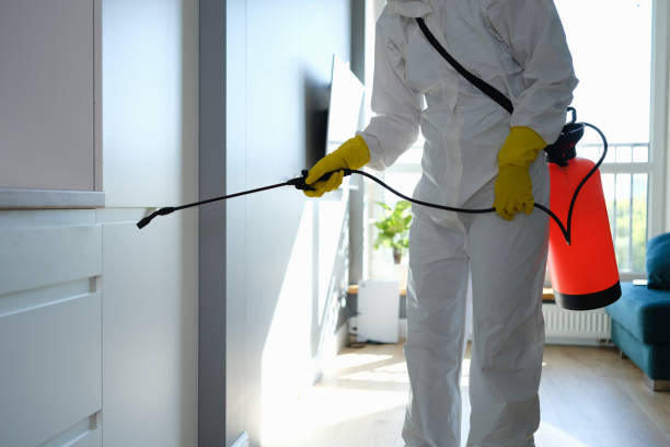Best Mold Testing  in Trenton, NJ